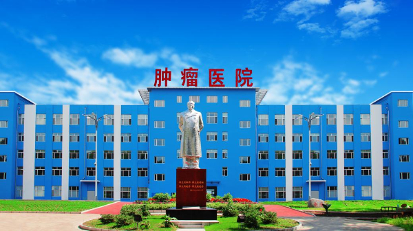 佳木斯市結(jié)核病醫(yī)院(腫瘤醫(yī)院):黨建引領(lǐng)鑄醫(yī)魂 創(chuàng)新驅(qū)動攀高峰